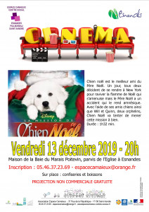 la mission de chien Noël.jpg