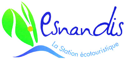 logo_esnandis (2).jpg