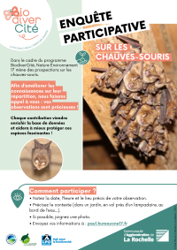ENQU&Ecirc;TE PARTICIPATIVE CHAUVE-SOURIS SUR LA CDA DE LA ROCHELLE